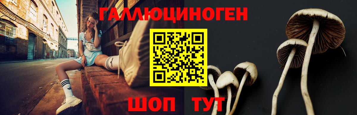 Псилоцибиновые грибы MAGIC MUSHROOMS  Вход с VPN  Горячий Ключ 